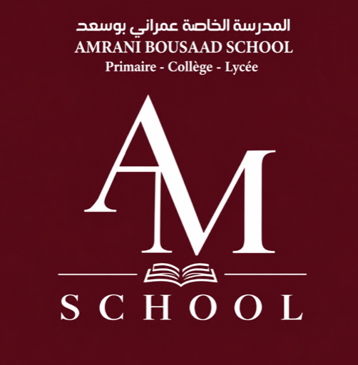 Amrani Bousaad School